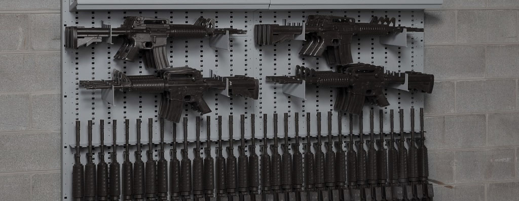 FWS - Secure Weapons Cabinet